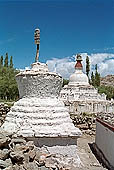 Ladakh - Chortens close to Shey palace 